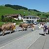 P1020821