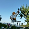 P1030047