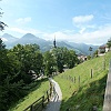 P1030519